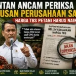 Mentan Ancam Periksa Ratusan Perusahaan Sawit, Harga TBS Petani Diduga Masih Ditekan DAYABORNEO, Jakarta — Pemerintah mulai menunjukkan sikap tegas terhadap perusahaan-perusahaan sawit yang dinilai belum memberikan harga yang adil kepada petani. Menteri Pertanian Andi Amran Sulaiman mengultimatum sekitar 270 hingga 300 perusahaan kelapa sawit yang diduga masih membeli Tandan Buah Segar (TBS) di bawah harga yang seharusnya, meski harga minyak sawit mentah (CPO) dunia sedang menguat. Langkah tersebut diambil setelah pemerintah menemukan ketidaksesuaian antara tren kenaikan harga komoditas global dengan harga yang diterima petani di sejumlah daerah sentra sawit. Bersama Satgas Pangan Polri, Kementerian Pertanian kini menyiapkan pemeriksaan terhadap perusahaan-perusahaan yang belum mengikuti ketetapan harga yang telah ditetapkan pemerintah daerah. «“Kalau harga CPO dunia naik dan nilai tukar dolar juga menguat, tidak ada alasan harga TBS petani justru turun,” tegas Mentan Andi Amran Sulaiman dalam rapat koordinasi nasional yang membahas stabilisasi harga sawit.» Data Kementerian Pertanian menunjukkan harga CPO global mengalami kenaikan sekitar 47 persen. Pada saat yang sama, nilai tukar dolar AS terhadap rupiah meningkat lebih dari 10 persen. Namun di lapangan, harga TBS yang diterima petani di sejumlah wilayah justru sempat merosot hingga sekitar 17 persen. Kondisi tersebut memicu perhatian serius pemerintah karena menyangkut kehidupan jutaan keluarga petani sawit di Indonesia. Sedikitnya 15 juta petani dan pekerja sektor sawit bergantung pada stabilitas harga komoditas tersebut. Amran mengungkapkan Presiden Prabowo Subianto memberikan perhatian khusus terhadap persoalan ini dan meminta pemerintah memastikan petani memperoleh haknya secara adil. Hasil evaluasi sementara menunjukkan sekitar 70 persen harga TBS di berbagai daerah telah mengalami pemulihan. Namun pemerintah menilai masih ada perusahaan yang belum menyesuaikan harga sesuai ketentuan. «“Data perusahaan yang belum patuh akan kami serahkan kepada aparat untuk ditindaklanjuti,” kata Amran.» Pemerintah menegaskan penertiban ini bukan untuk menghambat dunia usaha, melainkan menciptakan tata niaga sawit yang lebih sehat. Dengan harga yang adil di tingkat petani, Indonesia diyakini dapat memperkuat posisi sebagai produsen sawit terbesar dunia sekaligus mempercepat agenda hilirisasi dan pengembangan bioenergi nasional.