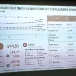 NTP Naik Tipis: Petani Kalteng Belum Sepenuhnya Menikmati Kenaikan Harga Hasil Panen