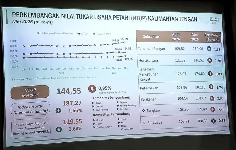 NTP Naik Tipis: Petani Kalteng Belum Sepenuhnya Menikmati Kenaikan Harga Hasil Panen