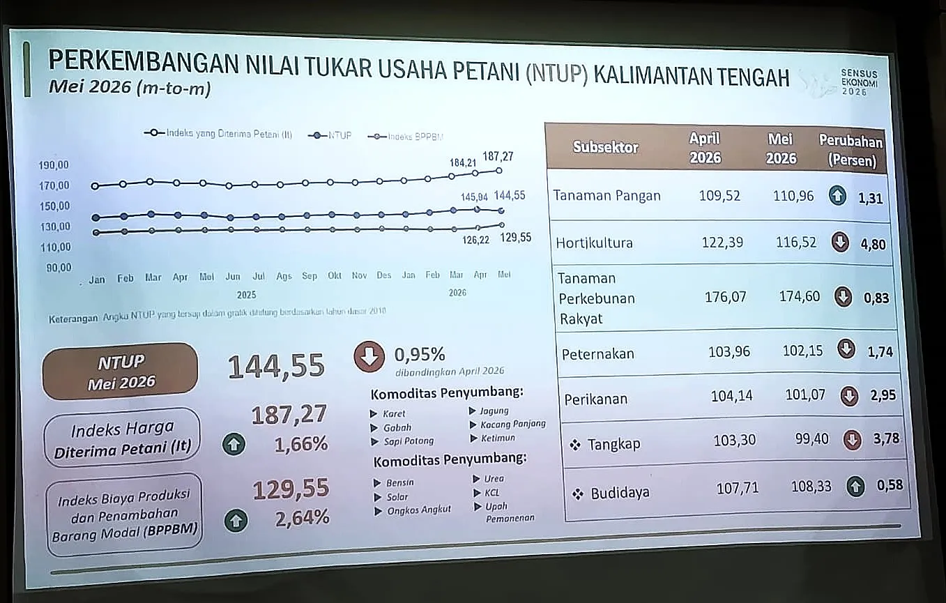 NTP Naik Tipis: Petani Kalteng Belum Sepenuhnya Menikmati Kenaikan Harga Hasil Panen