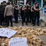 PLN Palangka Raya Dilempari Bangkai Ayam, Buntut Pemadaman Listrik Bergilir