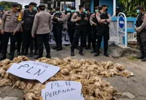 PLN Palangka Raya Dilempari Bangkai Ayam, Buntut Pemadaman Listrik Bergilir