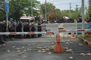 4000 Bankai Ayam Jadi Simbol Protes: Sampai Kapan Palangka Raya Dibiarkan Gelap?