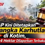 PT GAP Kini Ditetapkan Tersangka Karhutla di Kotim, 901,4 Hektar Dilaporkan Terbakar